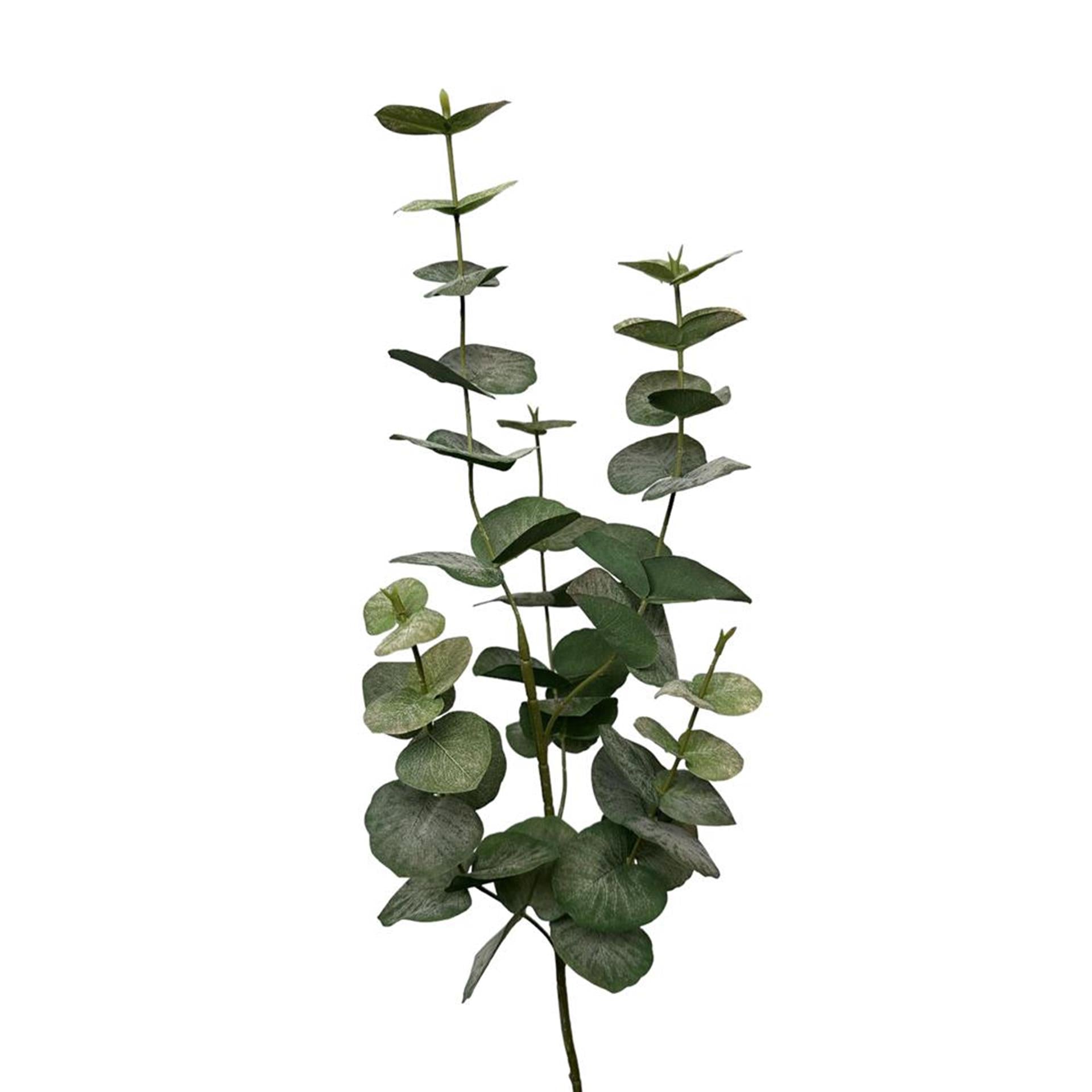 Roberts Collection künstlicher Zweig Eukalyptusspray 90 cm grau