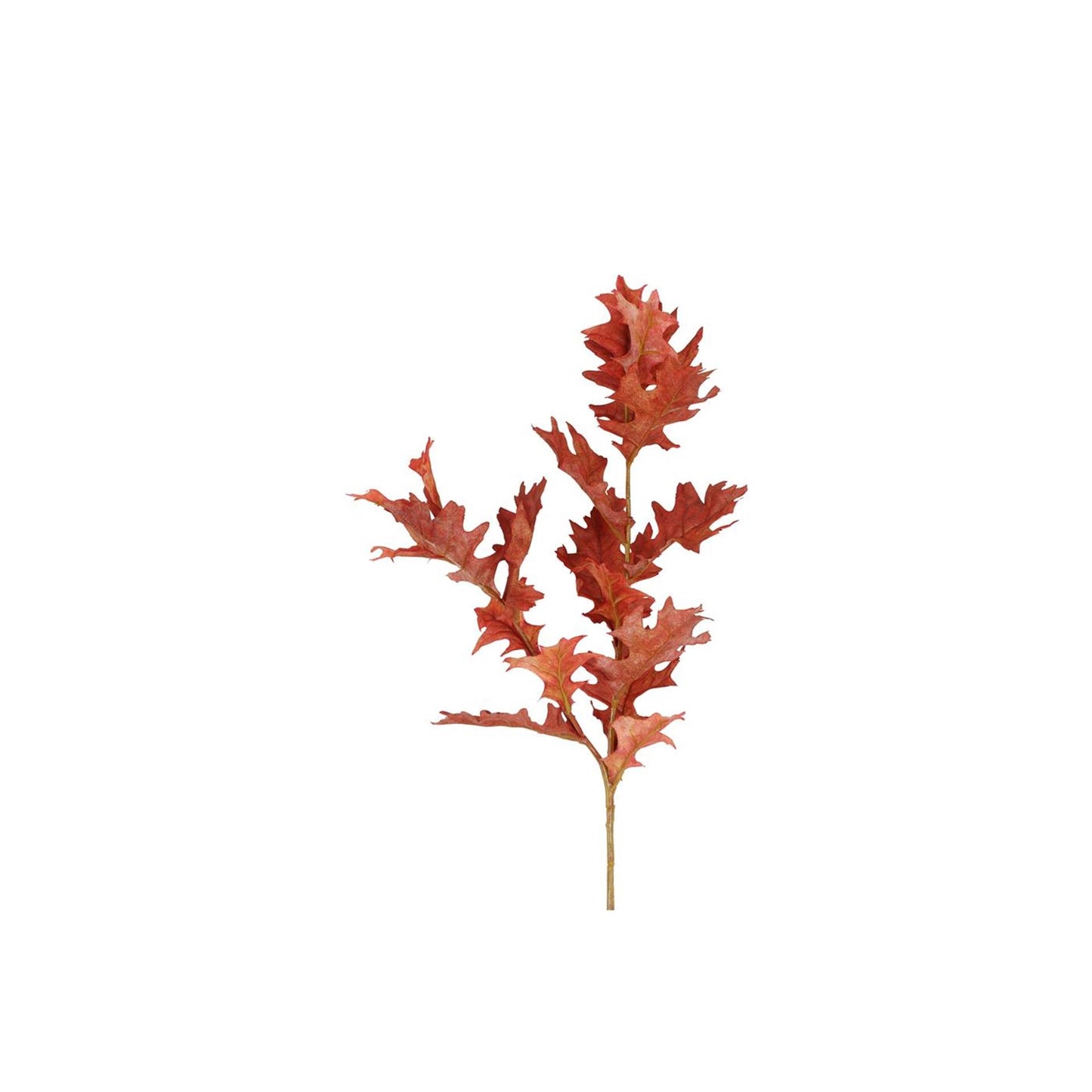 Countryfield künstlicher Zweig Quercus rot 20xh94cm