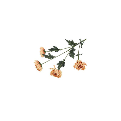 Countryfield künstlicher Zweig Chrysantheme beige 20xh83,8cm