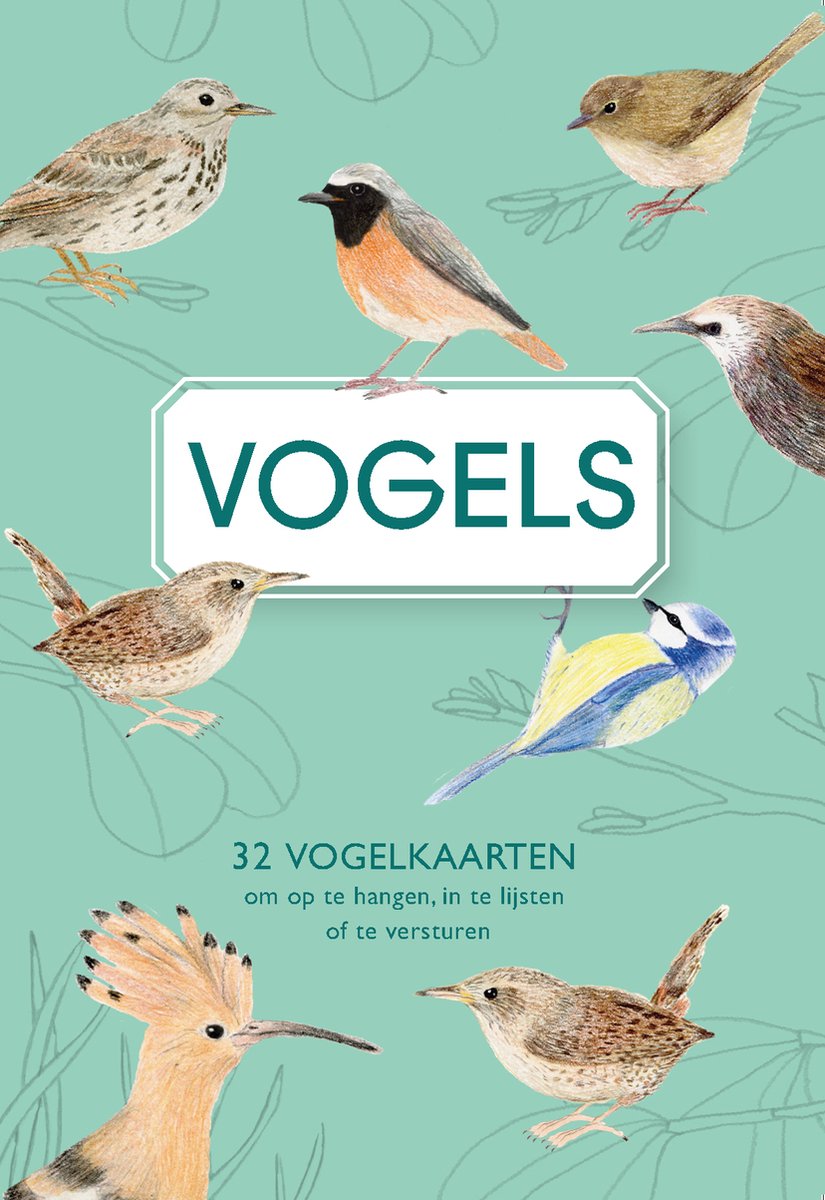 Moustache Birds Verlag