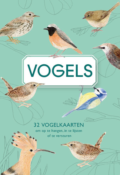 Moustache Birds Verlag