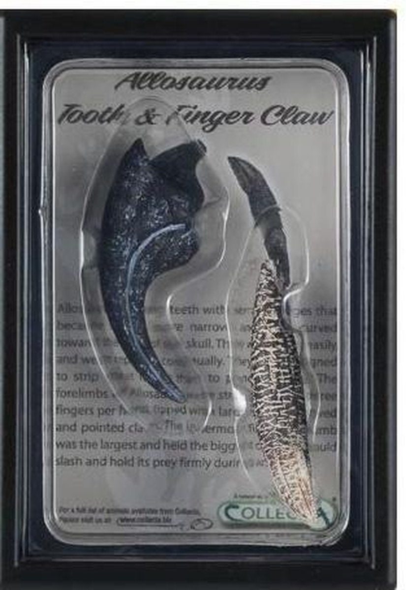 Collecta Figuren-Geschenkset – Allosaurus-Zahn und Finger