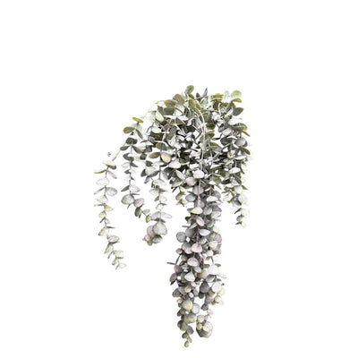 Roberts Collection künstliche Hängepflanze Eukalyptus bordeaux 95 cm
