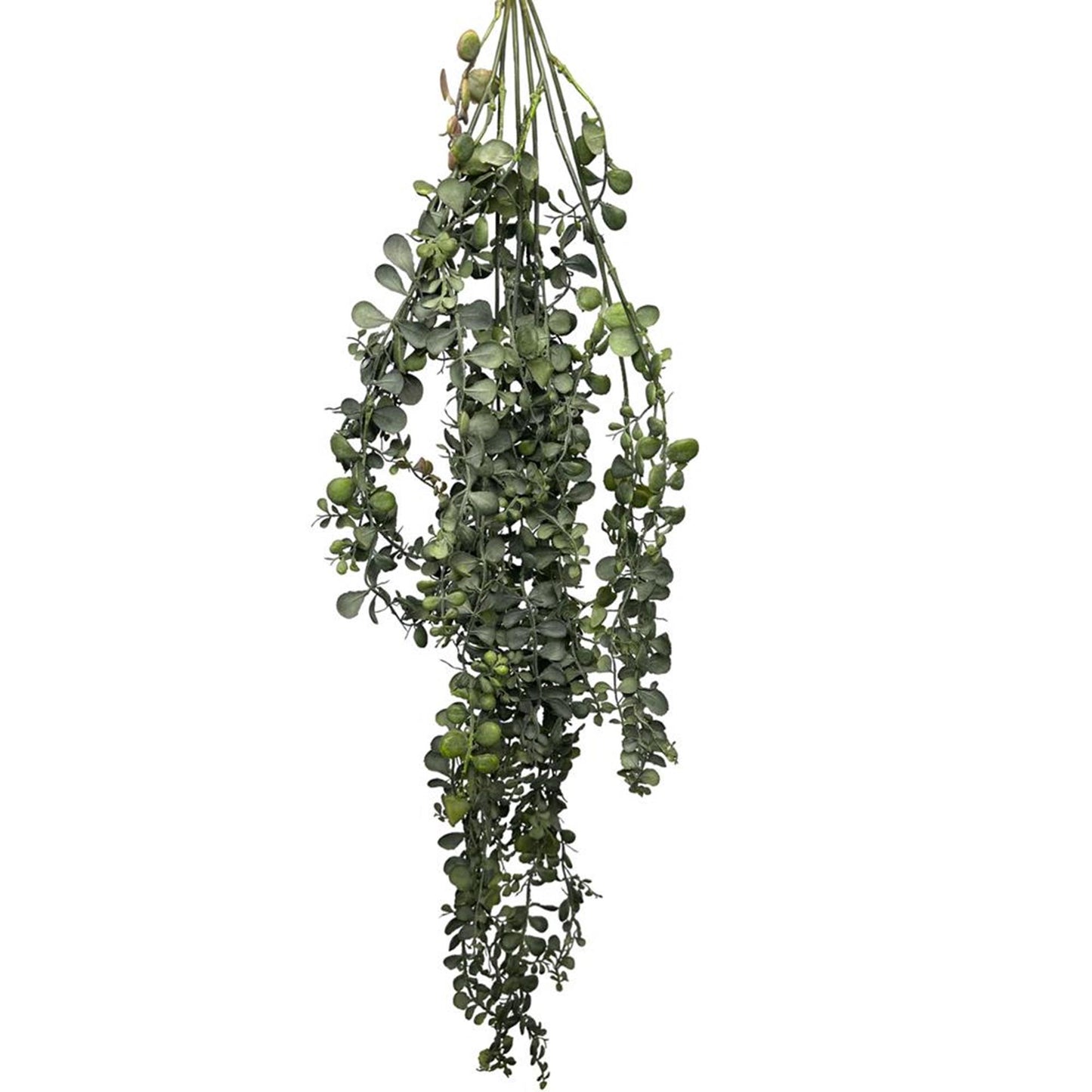 Roberts Collection künstliche Hängepflanze Dischidia grün 100 cm