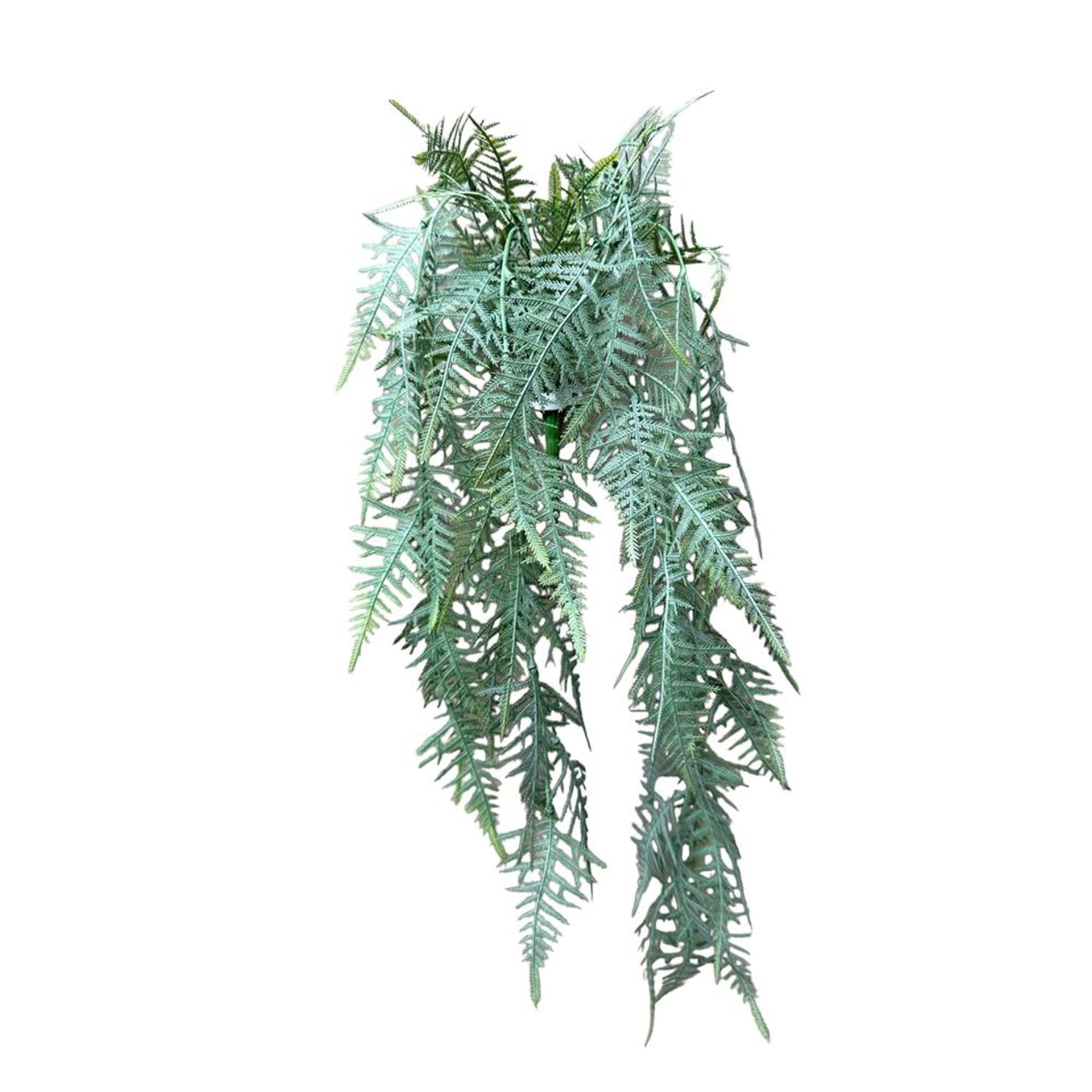 Roberts Collection Kunst-Hängepflanze Spargel Plumosus grau
