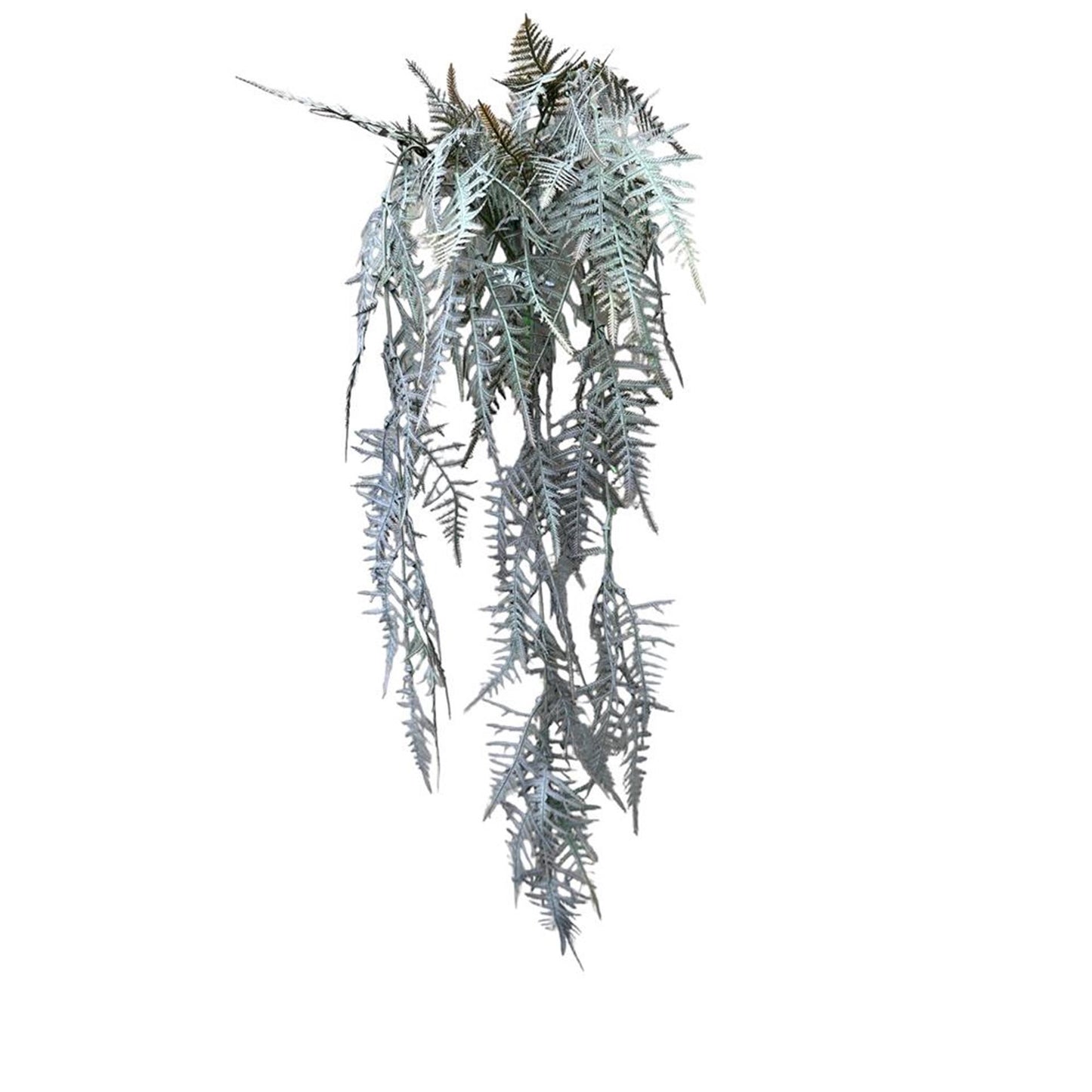 Roberts Collection künstliche Hängepflanze Spargel Plumosus braun