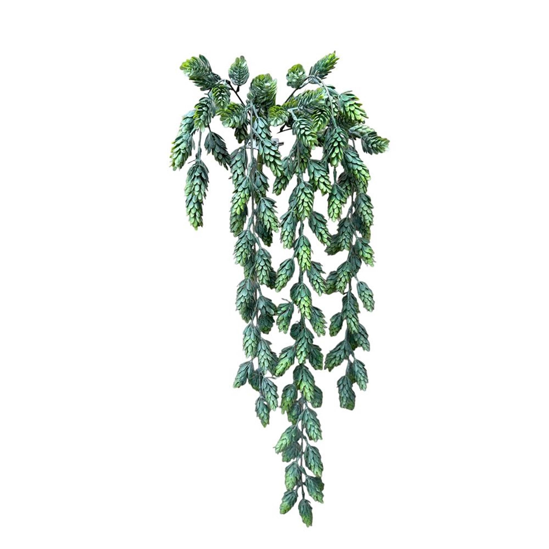 Roberts Collection künstliche Hängepflanze Hopfenspray 80 cm