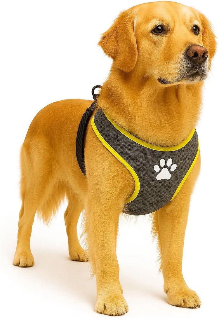 Flamingo Hundegeschirr – Hundegeschirr – Hundegeschirr Anti-Pull – Hundegeschirre – Hundegeschirr Anti-Pull – Step Go Tasha – Grau – Größe XL – A: 65 cm B: 90–115 cm x 20 mm x 5 mm