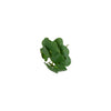 Countryfield Kunstpflanze Pilea 22x22x25cm