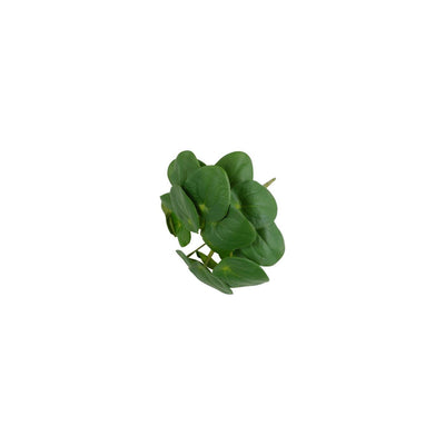 Countryfield Kunstpflanze Pilea 22x22x25cm