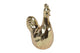 Countryfield Hahn gold 17x11x25cm