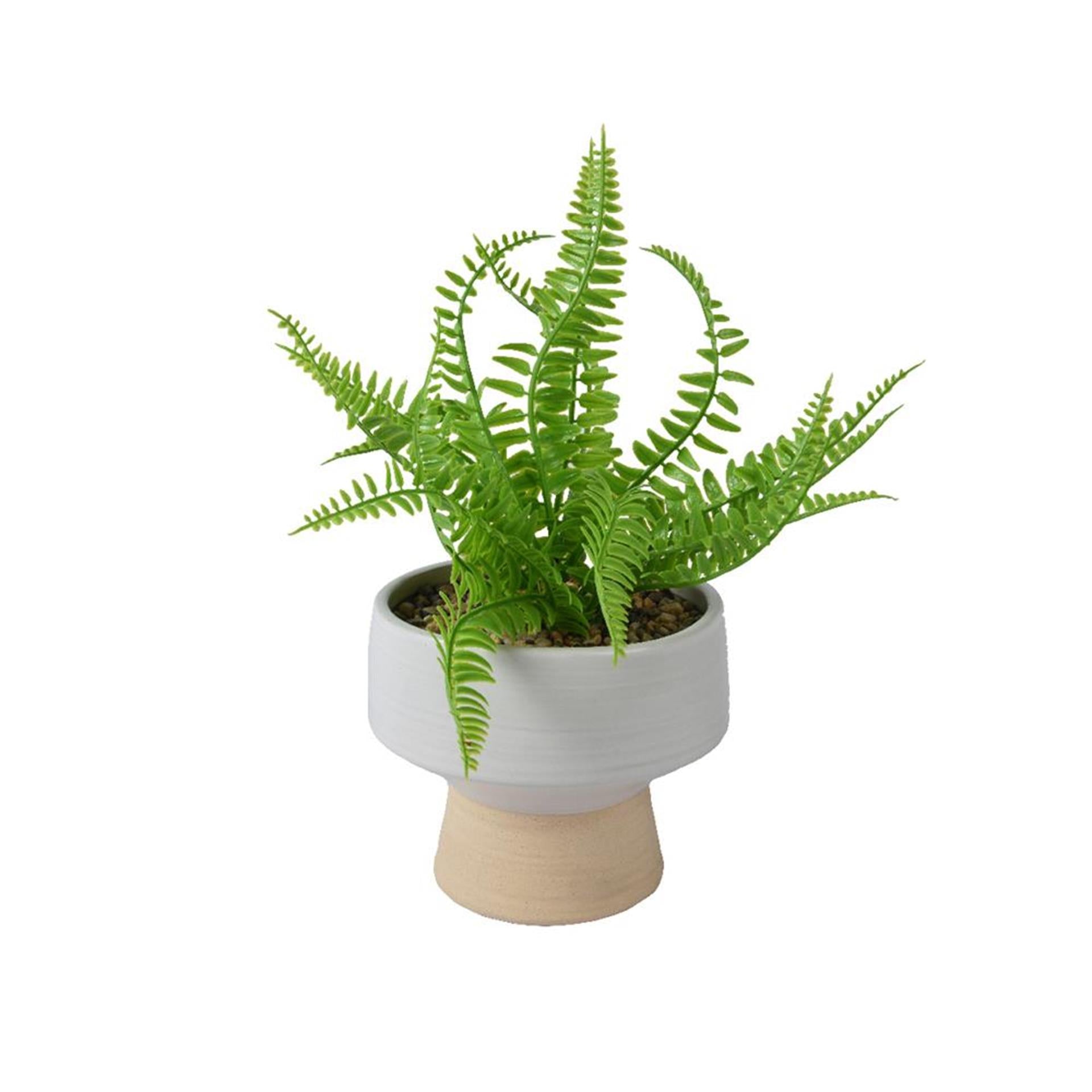 Decoris Kunstpflanze Farn h24cm