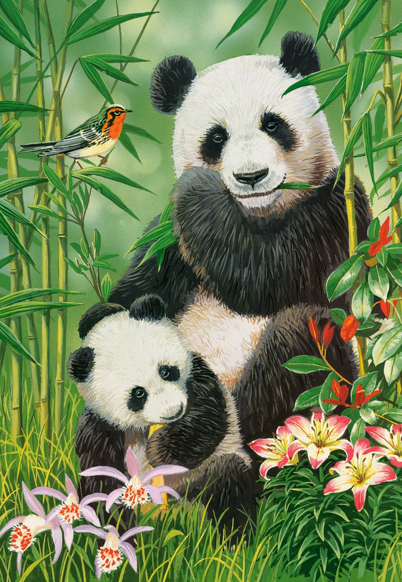 Castorland Puzzle Panda Brunch – Puzzle 1000 Teile Panda.