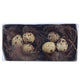 Decoris Nestweiden-Set, 2 Stück, 8 cm