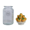Decoris Vorratsdose Zitrone H27cm Glas Steingut