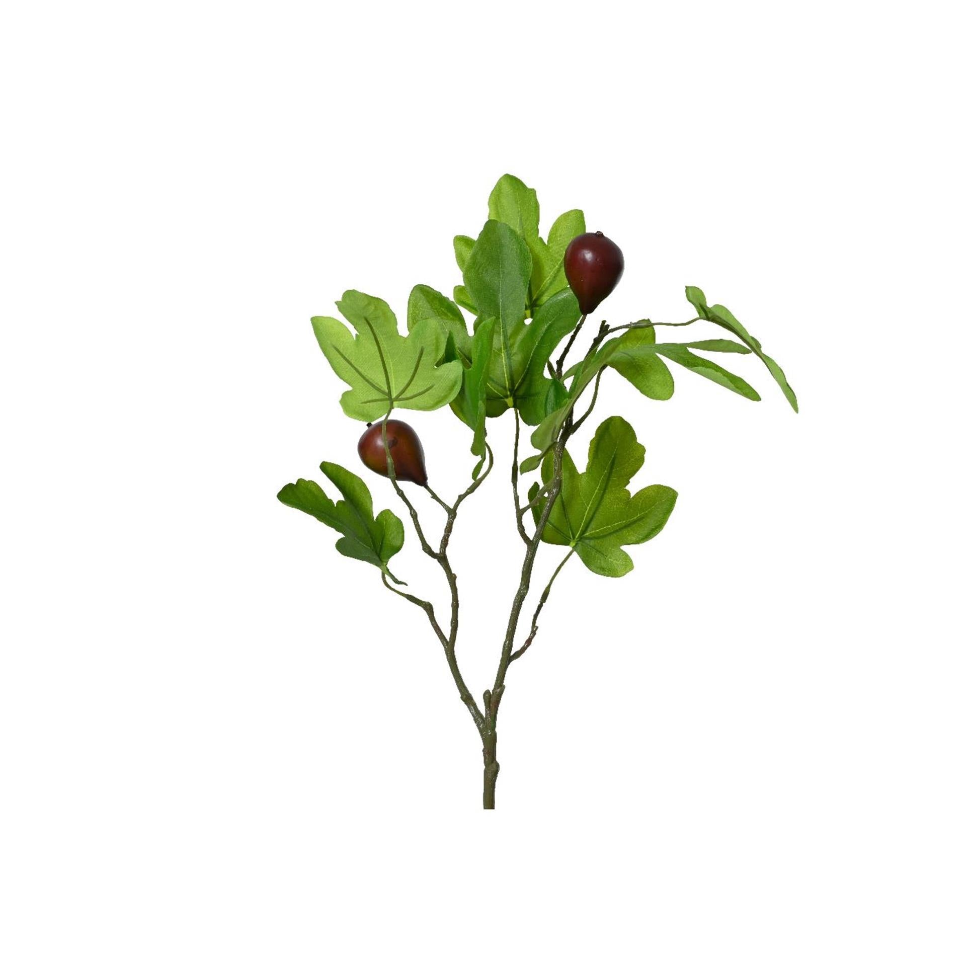 Decoris künstlicher Zweig Feige 25x12x63cm
