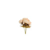 Land veld kunstblume Pfingstrose creme Seide h46cm