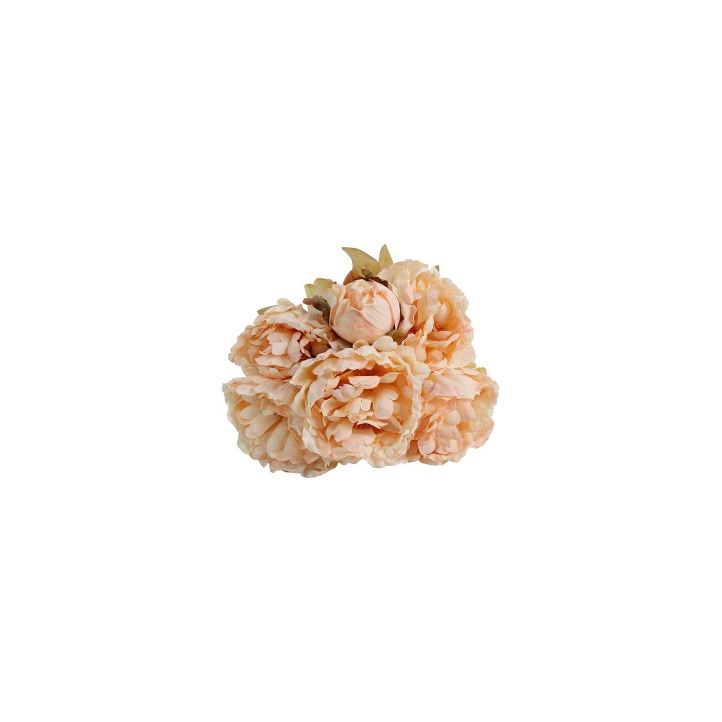 Land veld kunstblume Pfingstrose creme Seide h46cm