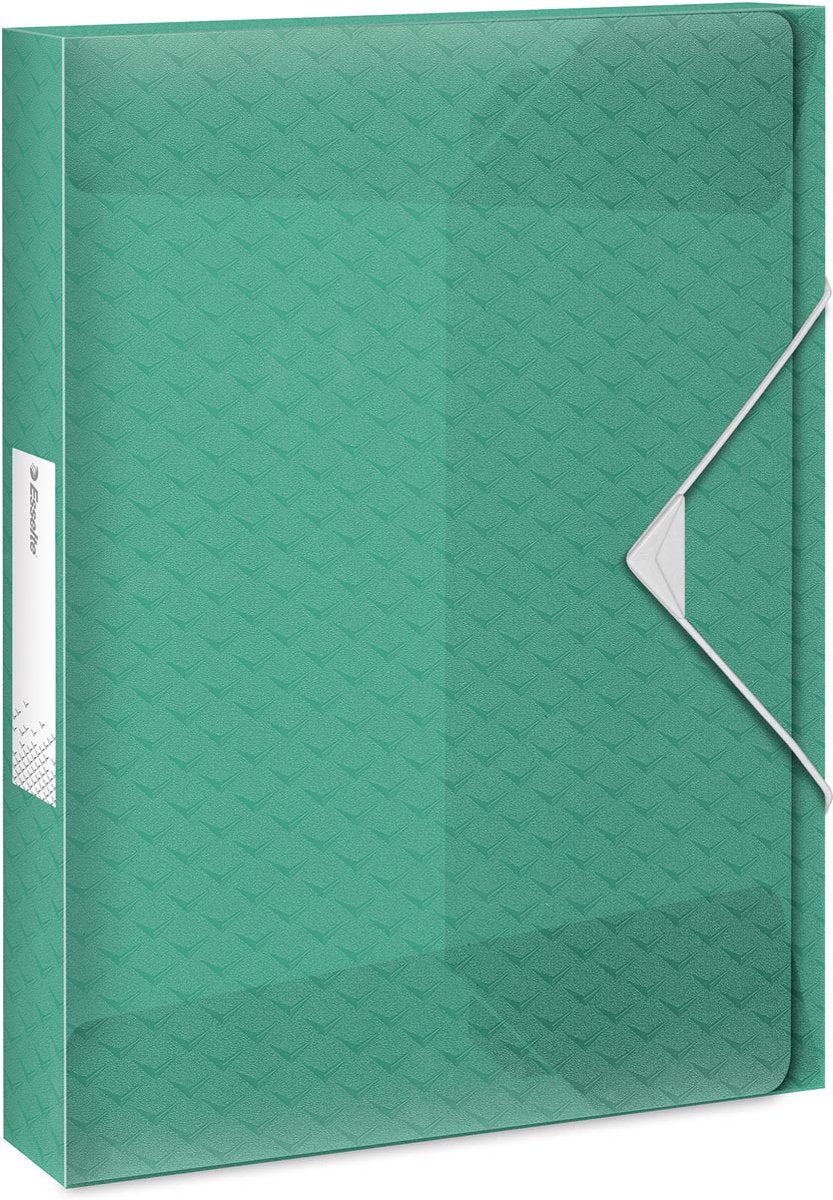 Esselte Colour'breeze A4-Dokumentenbox für 200 Blatt – Aktenordner mit einer Rückenbreite von 25 mm – grün