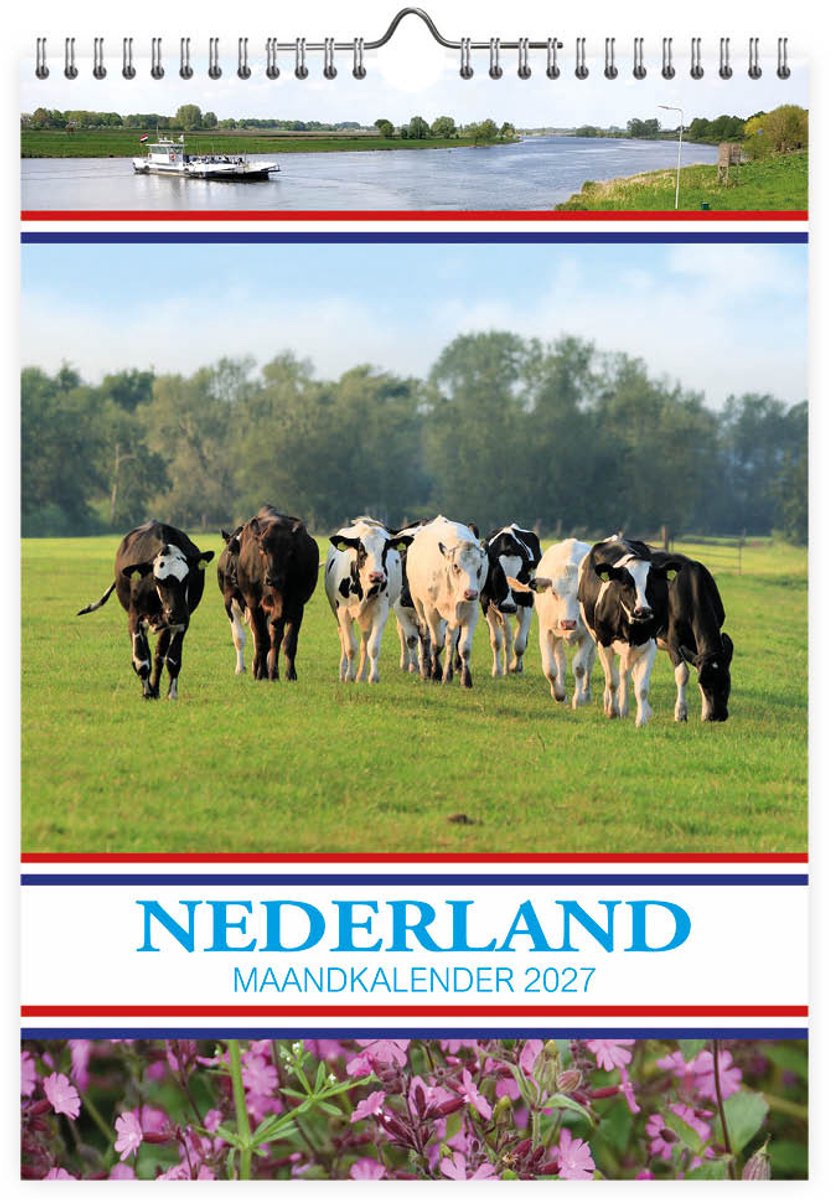 Comello Niederlande Monatskalender Kühe 2027