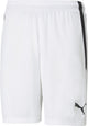 Puma Teamliga Shorts Herren Sporthose - Weiß-Schwarz