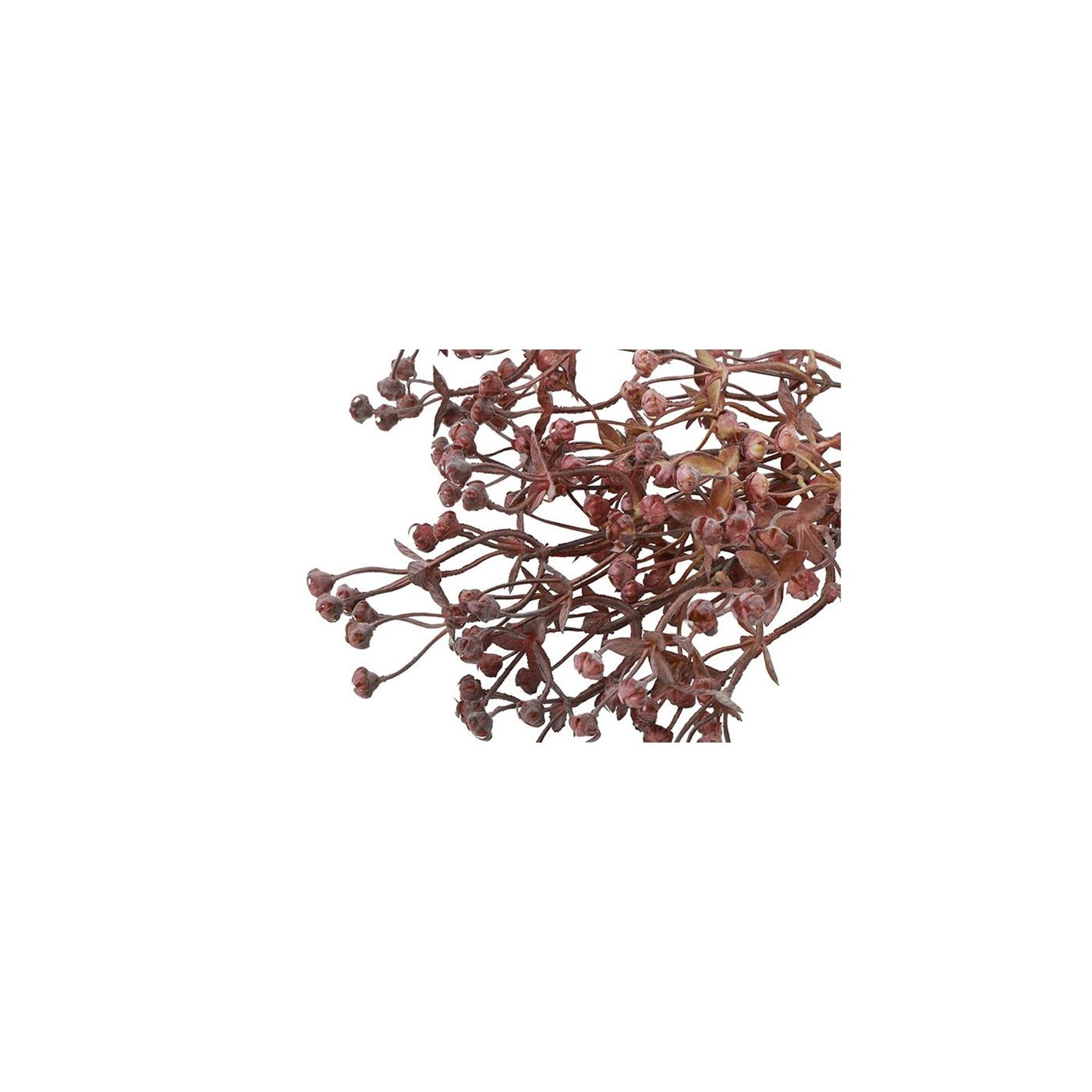 Country Field Countryfield Kunstblumenstecker Exacum rote Seide ø12x31cm