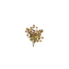 Country Field Countryfield Kunstblumenstecker Acaena hellbraun Seide ø12x35cm