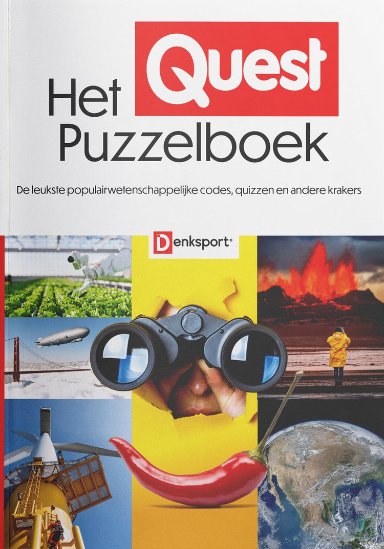 Gedankensport – das Quest-Rätselbuch