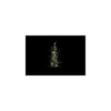Country Field Countryfield Weihnachtsbaum LED Cedrusgrün Kunststoff 11x10x61cm 15LED 3xaaa