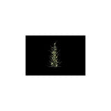 Country Field Countryfield Weihnachtsbaum LED Cedrusgrün Kunststoff 11x10x61cm 15LED 3xaaa - afbeelding 2