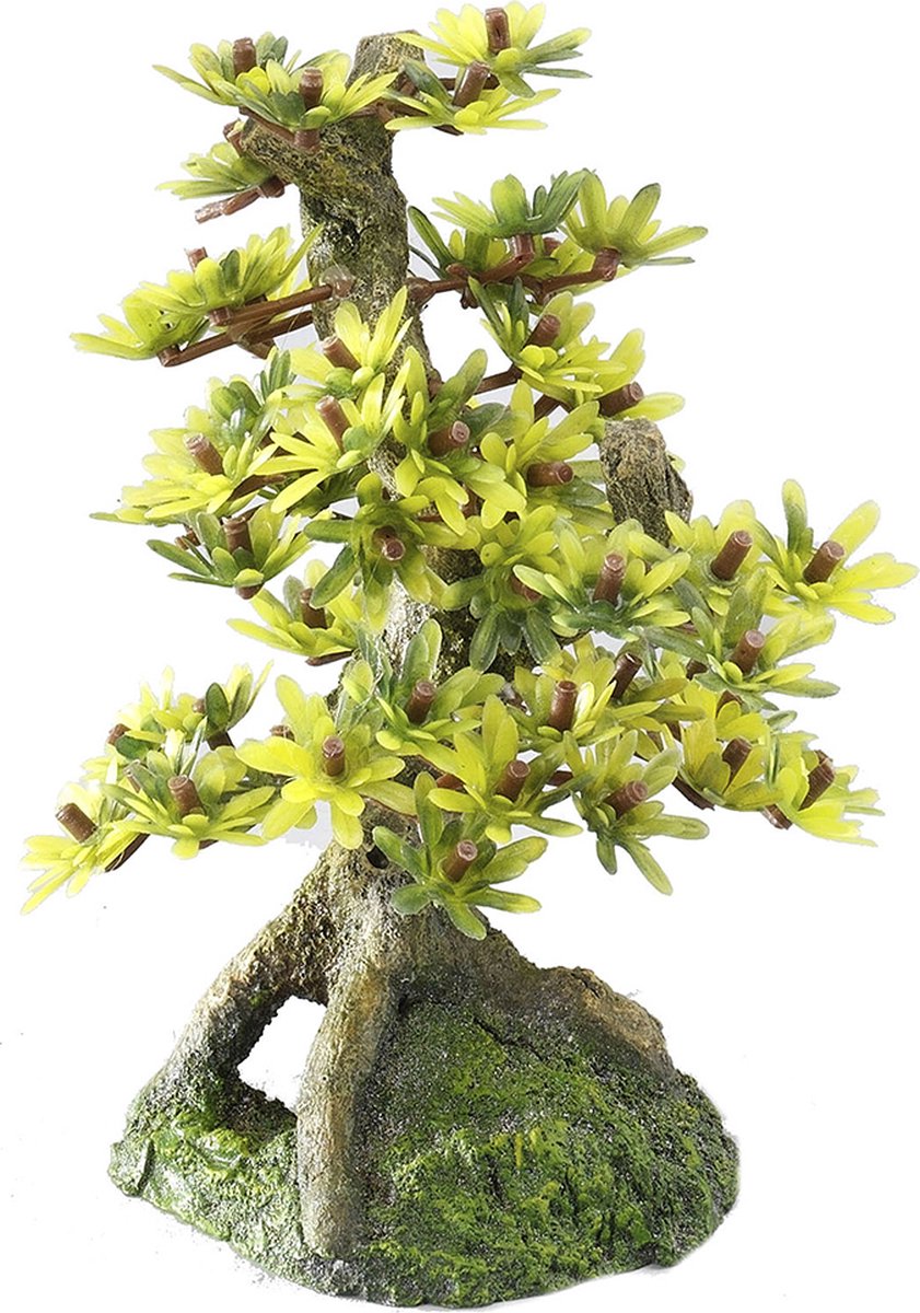 Aqua della Europet Bernina Dekor Bonsai 2 - Aquarium - Ornament - 15 cm