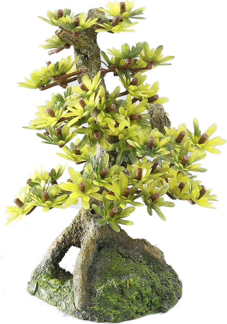 Aqua della Europet Bernina Dekor Bonsai 2 - Aquarium - Ornament - 15 cm