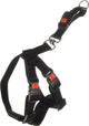 Flamingo Hundegeschirr Autogeschirr Größe M - Schwarz 40-60cm