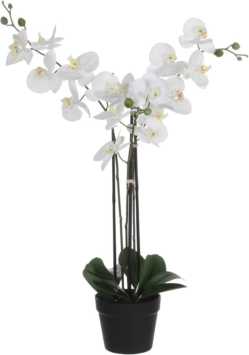Glimmerdekorationen, künstliche Orchideenpflanze – weiß – H75 x B50 cm