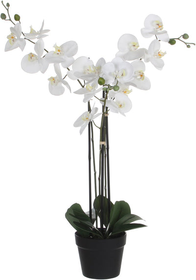 Glimmerdekorationen, künstliche Orchideenpflanze – weiß – H75 x B50 cm