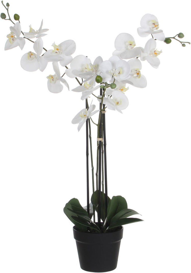 Glimmerdekorationen, künstliche Orchideenpflanze – weiß – H75 x B50 cm