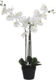 Glimmerdekorationen, künstliche Orchideenpflanze – weiß – H75 x B50 cm