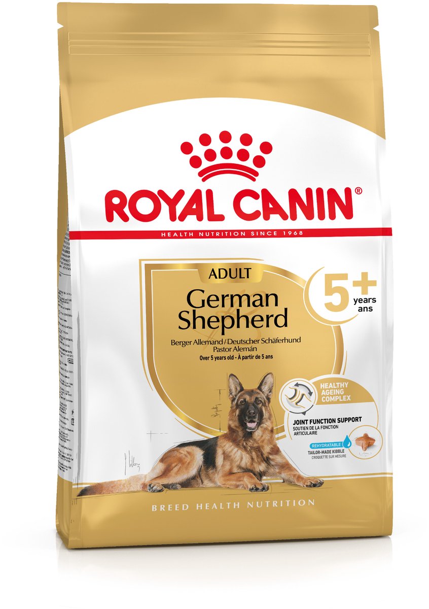 Königlicher Hund