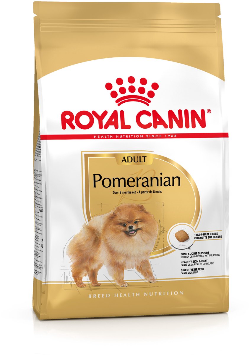 Königlicher Hund
