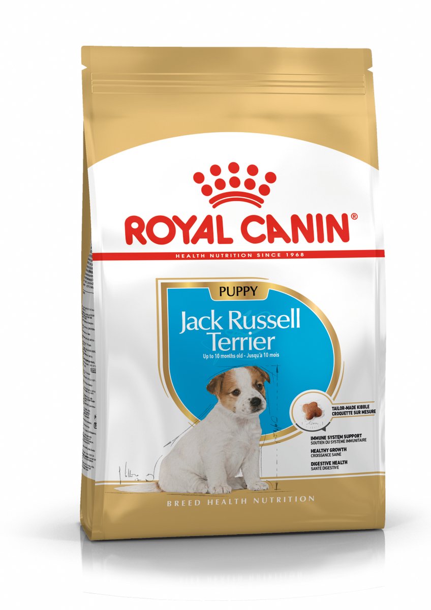 Königlicher Hund