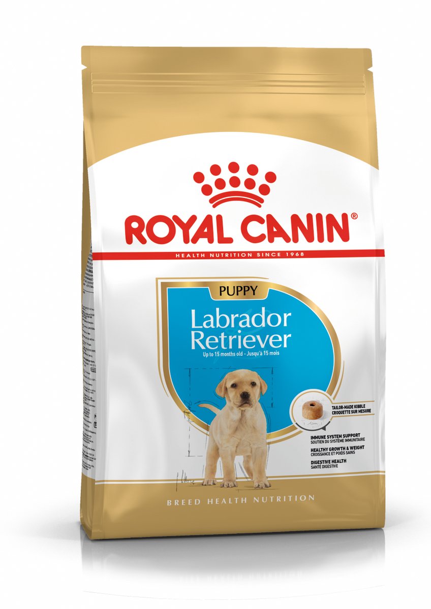 Königlicher Hund