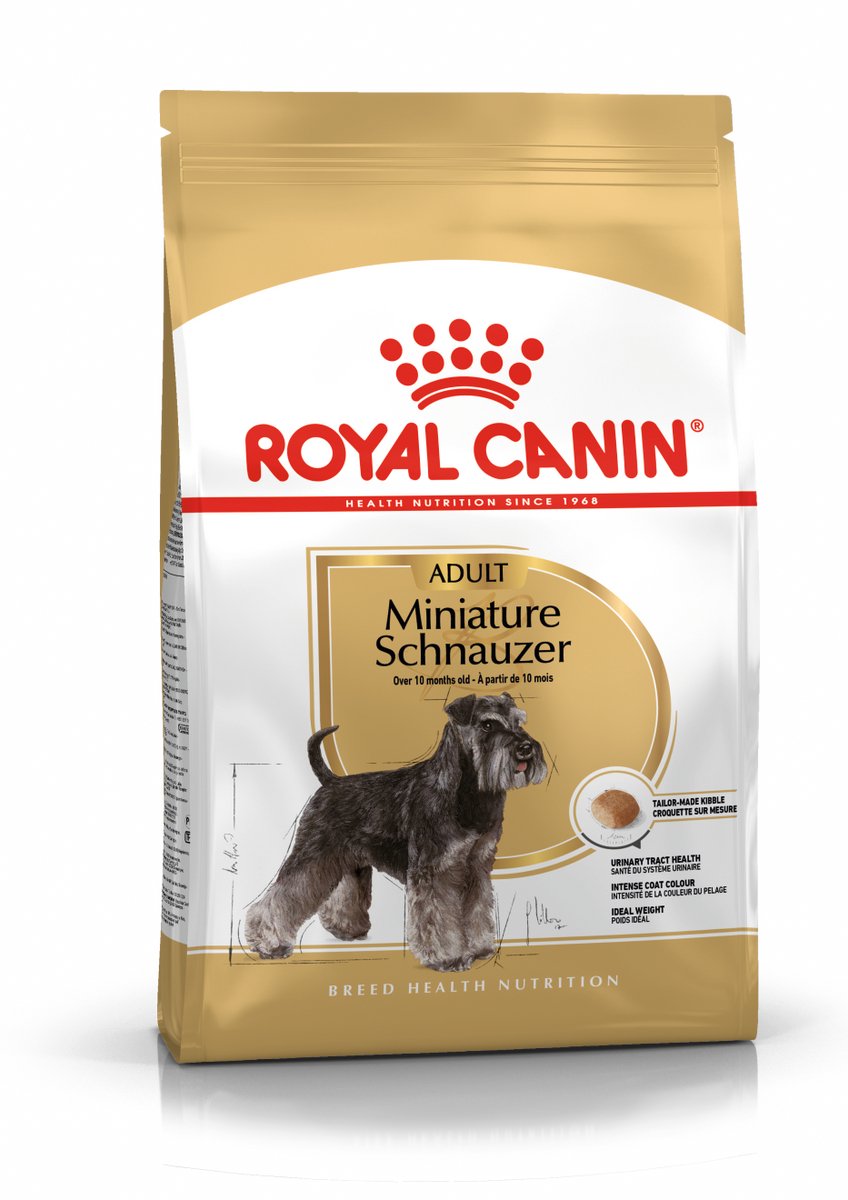 Königlicher Hund