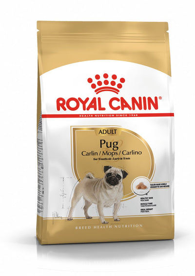 Königlicher Hund