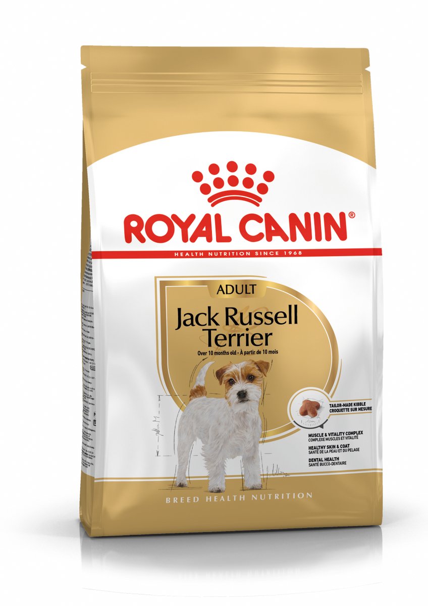 Königlicher Hund