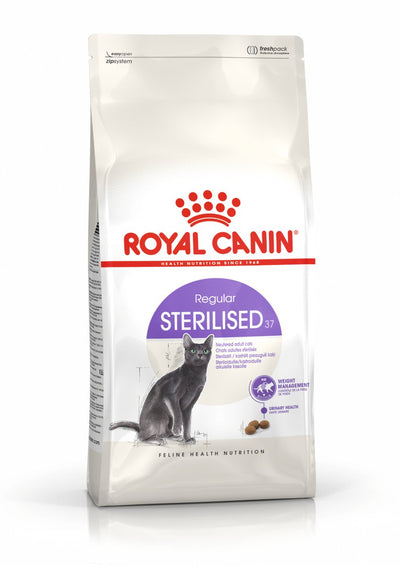 Königlicher Hund