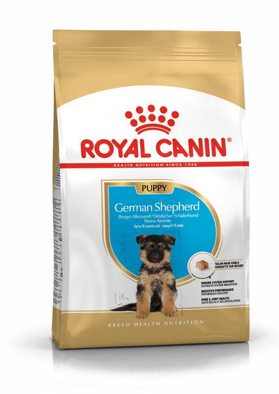 Königlicher Hund