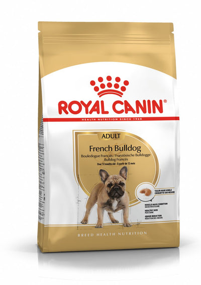 Königlicher Hund