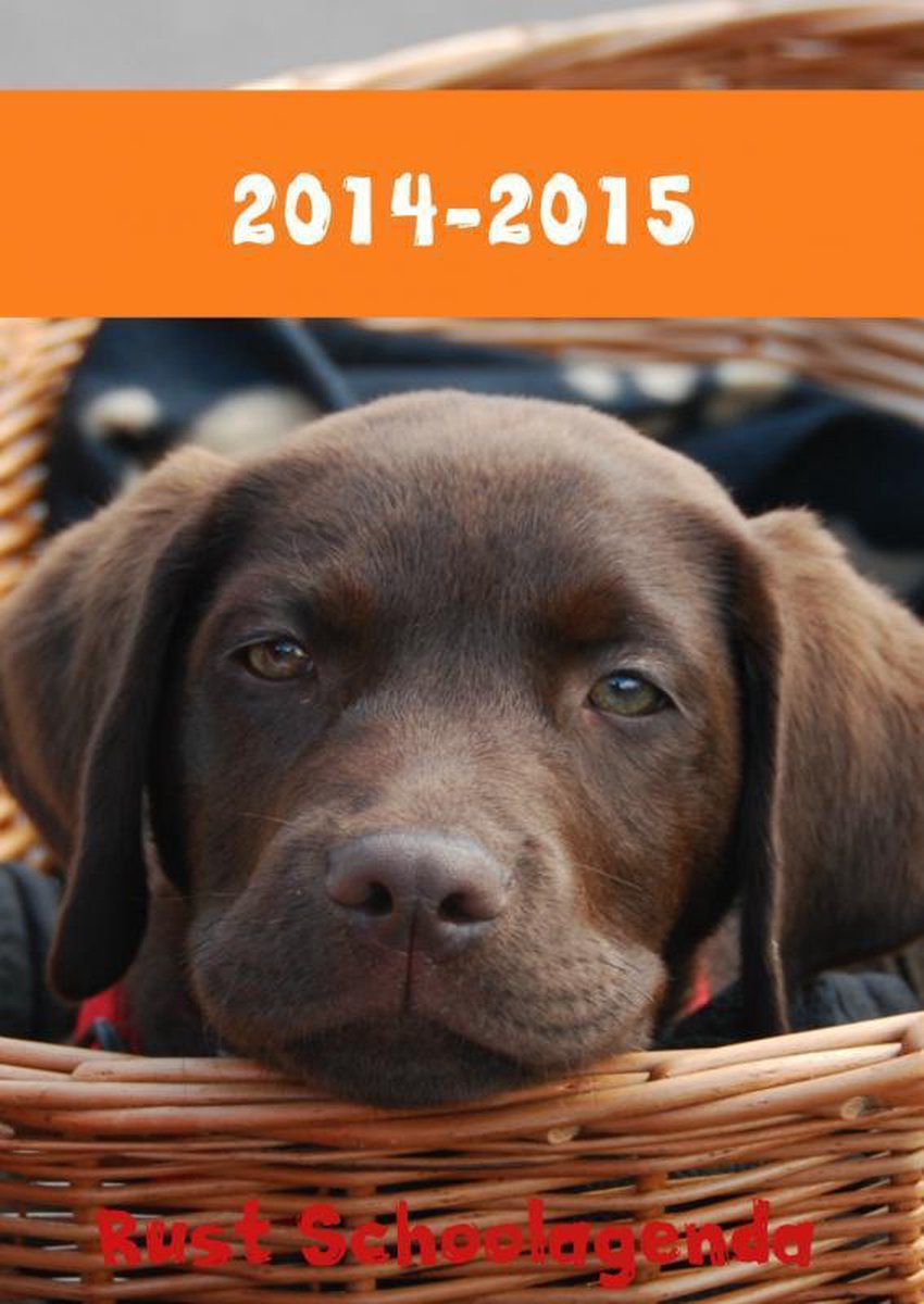 Markenlos ohne Marke 2014–2015
