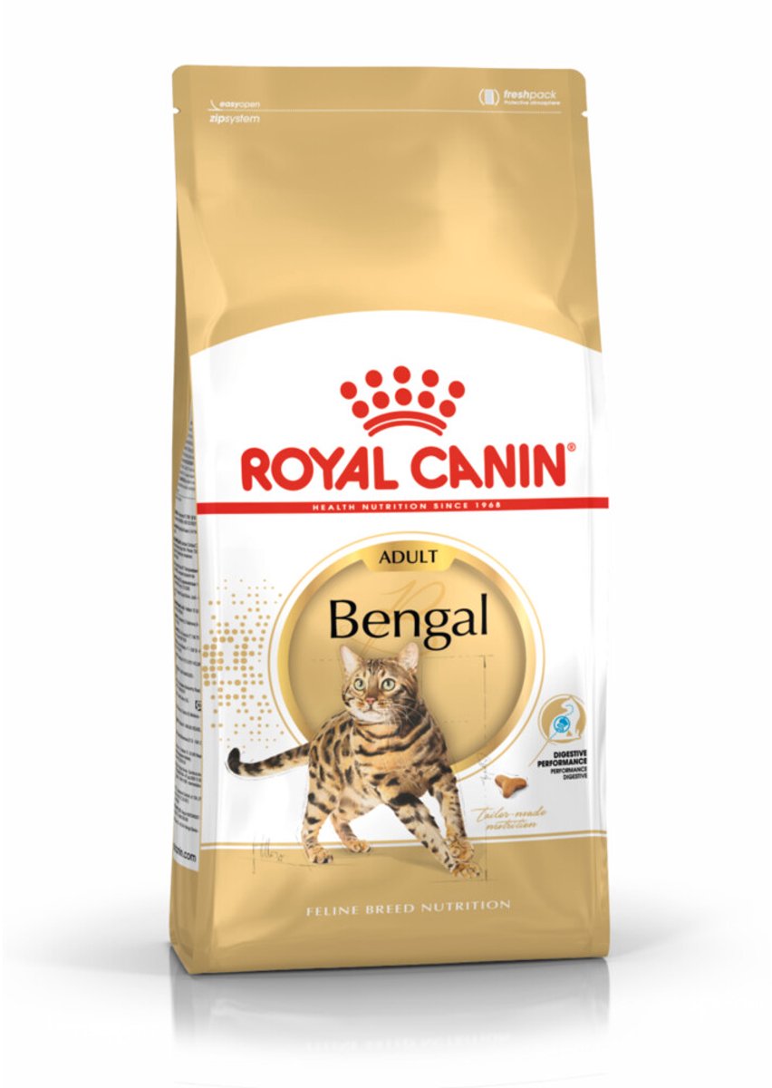 Königlicher Hund