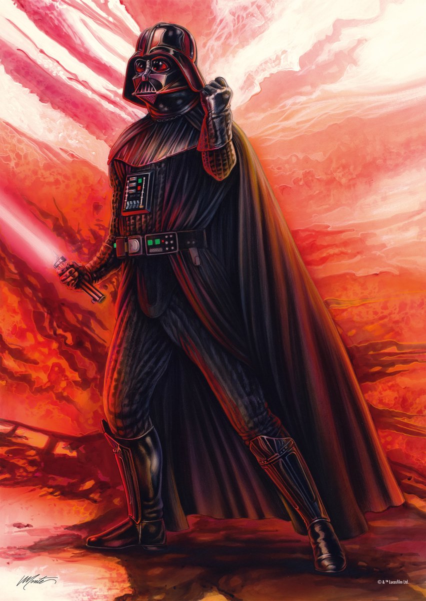 Star Wars das Sith-Puzzle mehrfarbig